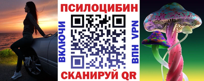 Псилоцибиновые грибы мицелий  MEGA ТОР  Курчалой 