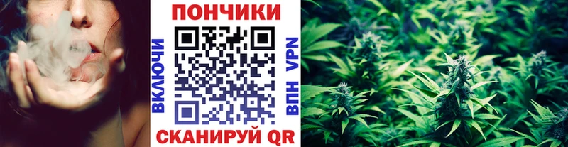 ссылка на мегу tor  Курчалой  Бошки марихуана план  сколько стоит 